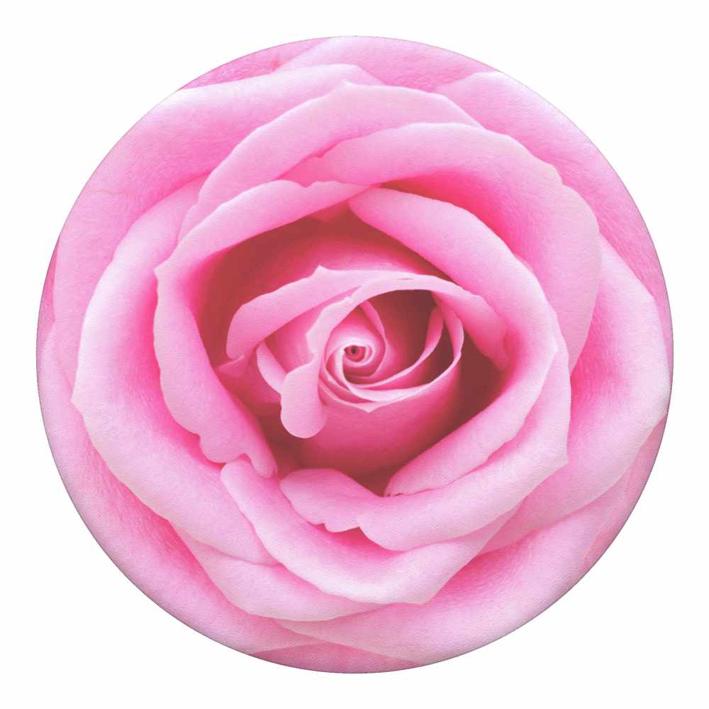 PopSockets - PopGrip Rose All Day